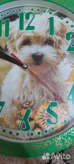 Часы настенные mirron вега