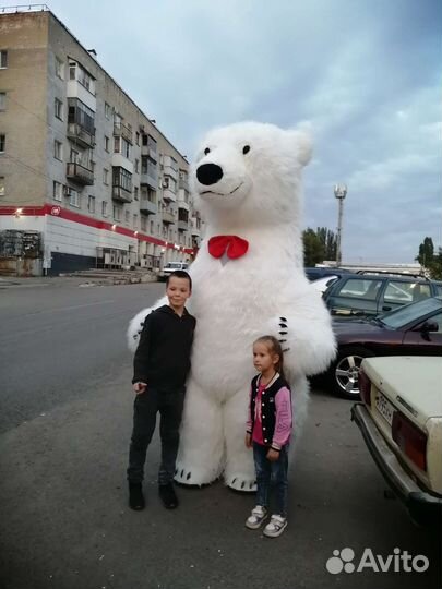 Поздравление белого медведя, панды