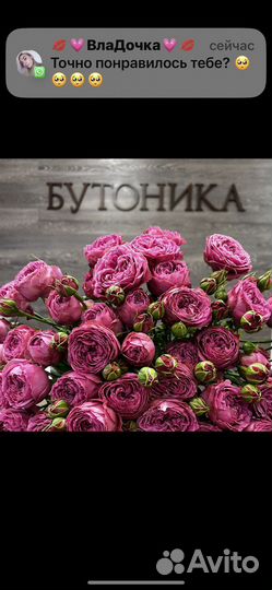 Цветы. Букет шикарных пионовидных кустовых роз