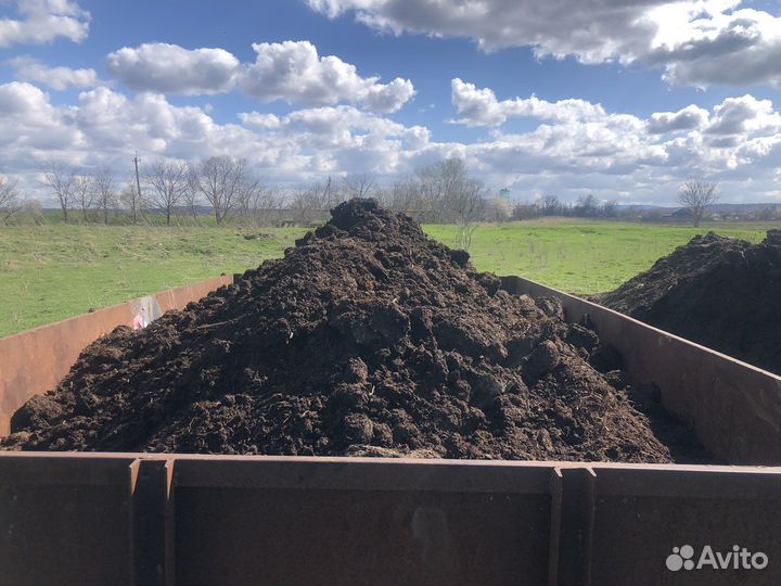 Перегной коровий. Удобрение