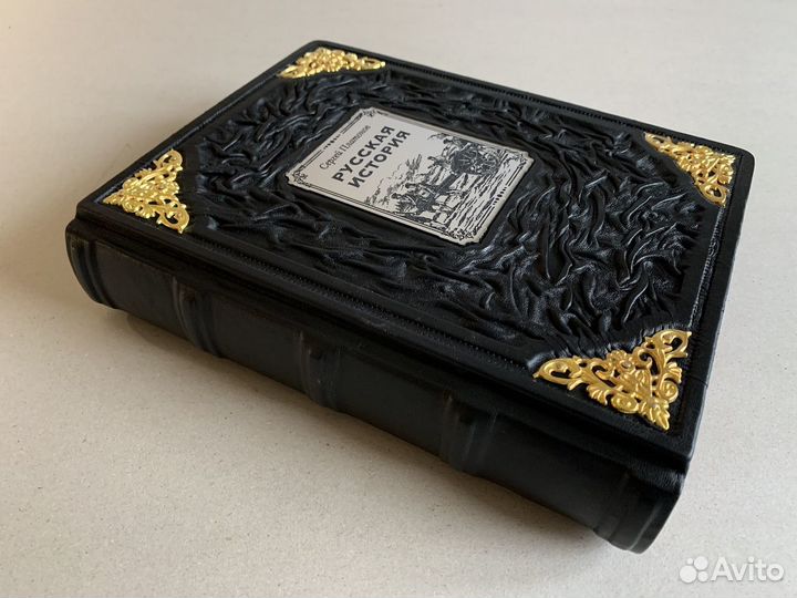 Русская история. Сергей Платонов (кожаная книга)