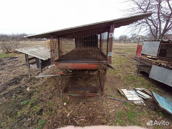 Клетки для нутрий