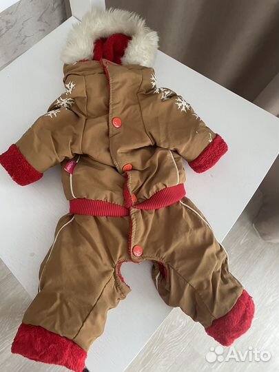 Комбинезон для маленькой собаки