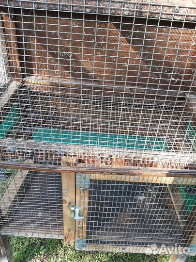 Клетка для животных