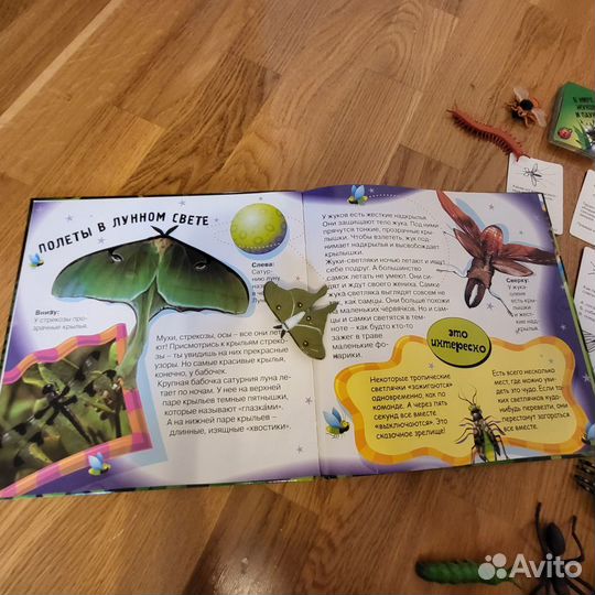 В мире жуков и пауков. С фигурками насекомых