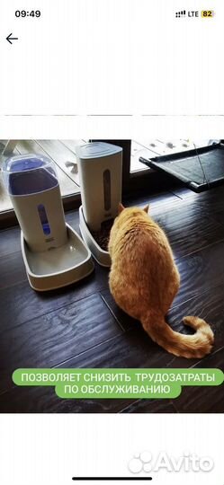 Автоматические поилка и кормушка для кошек и собак