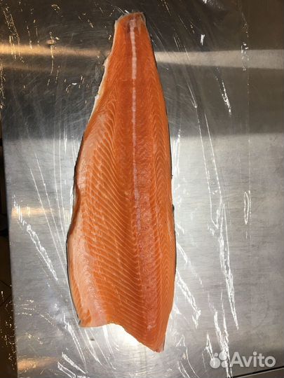 Рыба морепродукты оптом: лосось, угорь, креветки