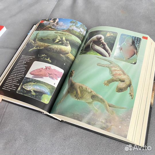 Ричард Докинз