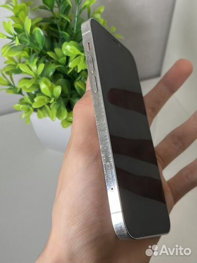 iPhone 12 Pro, 256 ГБ