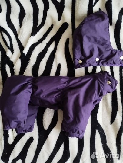 Комбинезон для маленькой собаки девочки