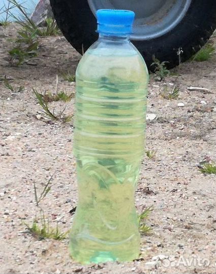 Дизельное топливо дт солярка Шатура