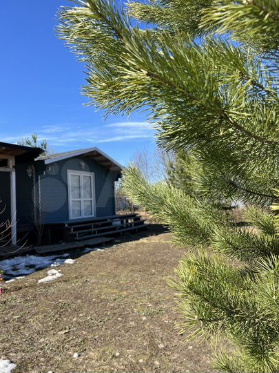 Дом 25 м² на участке 12 сот.