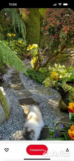 Ландшафтные работы, дренаж, планировка