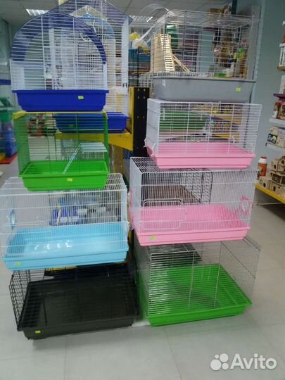Клетки, хомячки, крысята