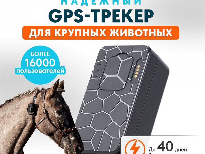 Gps tracker для коров