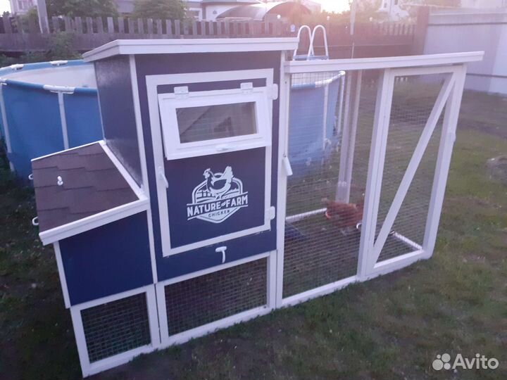 Мини курятник