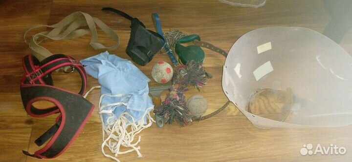 Шлейка для собаки поводок