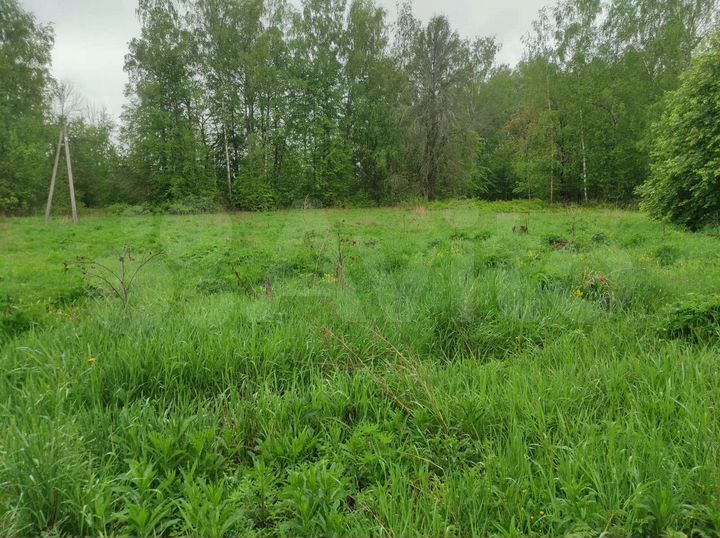 Участок 16,5 сот. (ИЖС)