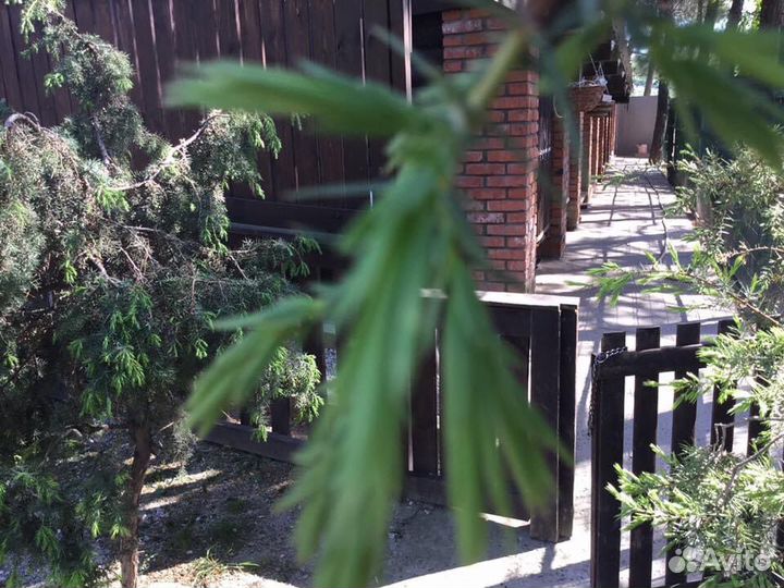 Гостиница для собак