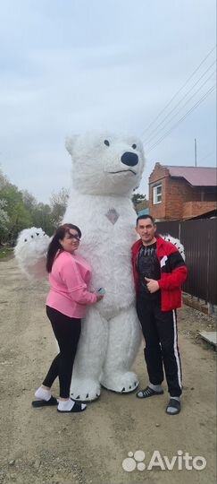 Поздравление от белого мишки