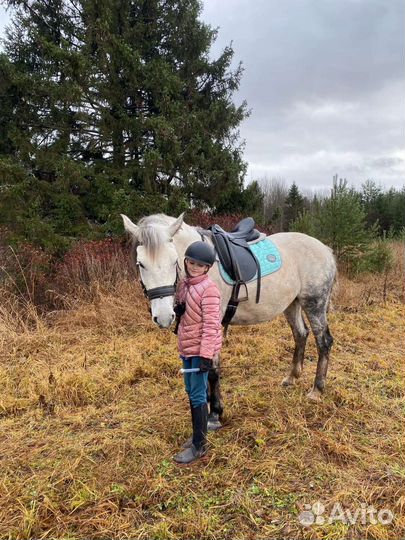 Вальтрап для лошади imperial