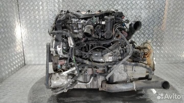 Двигатель к Ford Focus 2004-2009 G8DC