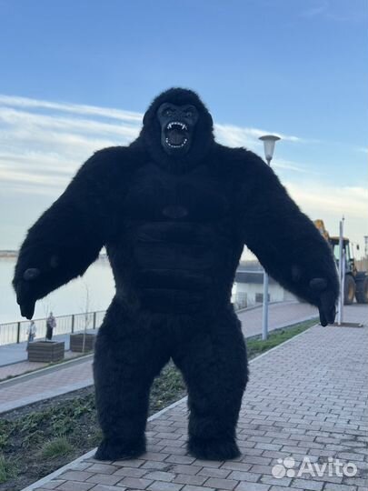 Поздравление от огромной гориллы, Кинг Конг