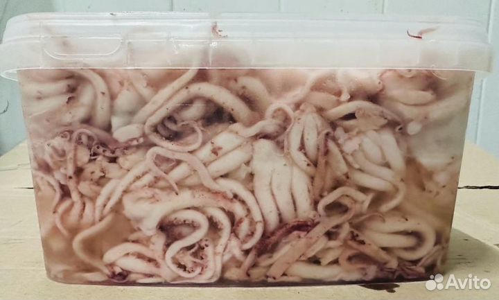 Щупальца кальмара