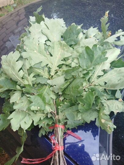 Веники для бани