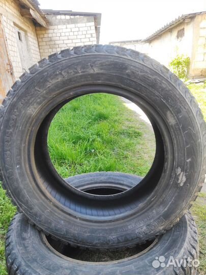 Nokian Tyres Nordman 5 185/65 R15