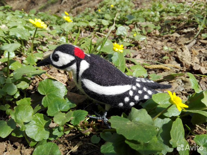 Войлочный дятел