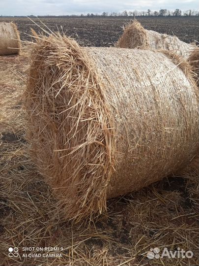 Сено. Солома. Доставка сена
