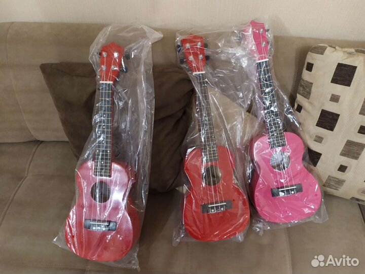 Укулеле Концерт Новая