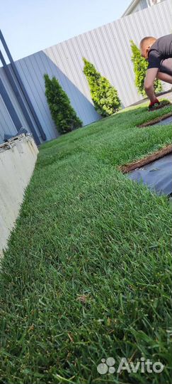 Рулонный газон/Укладка/Автополив