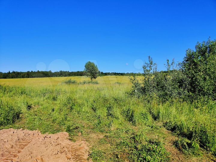 Участок 6,2 сот. (СНТ, ДНП)