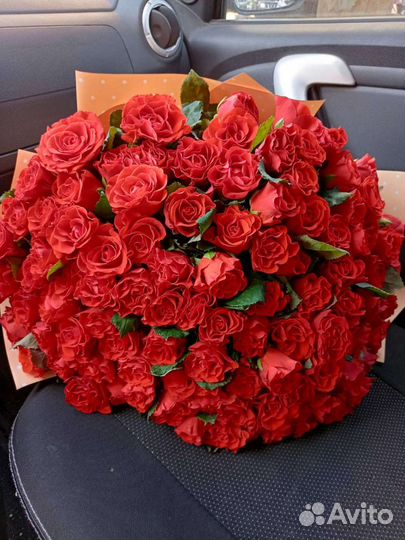 Розы 101, 51, любое количество