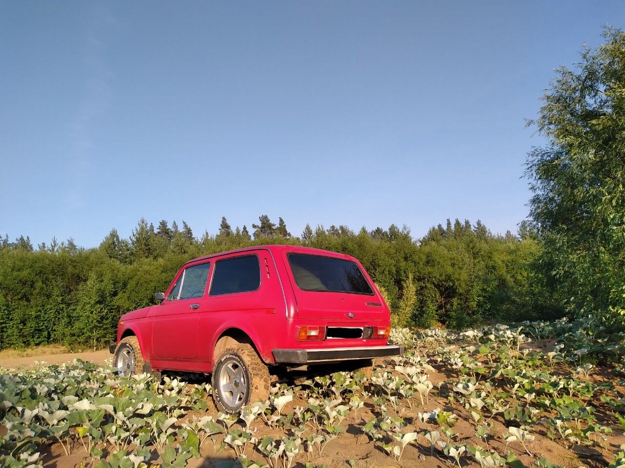 ВАЗ (LADA) 4x4 (Нива): фото владельца