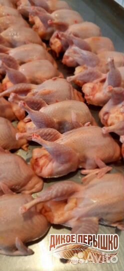 Мясо перепелов