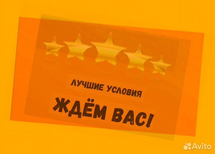 Наборщик Без опыта Еженедельные выплаты