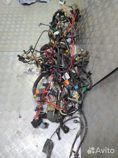 Проводка (коса) двигателя и салона Renault Duster