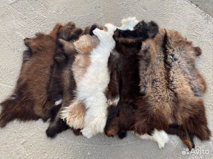 Шкурки натуральные, шкура меховая