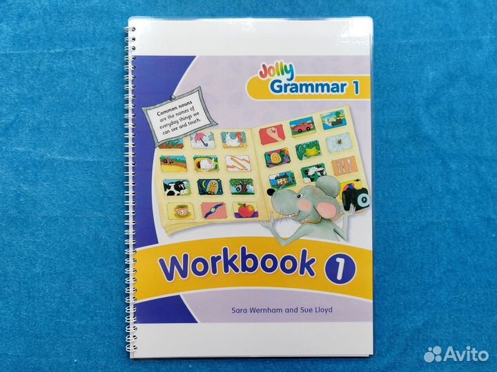 Jolly Phonics Grammar 1 Workbook 1-6