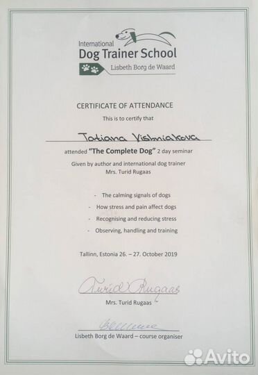 Кинолог, зоопсихолог