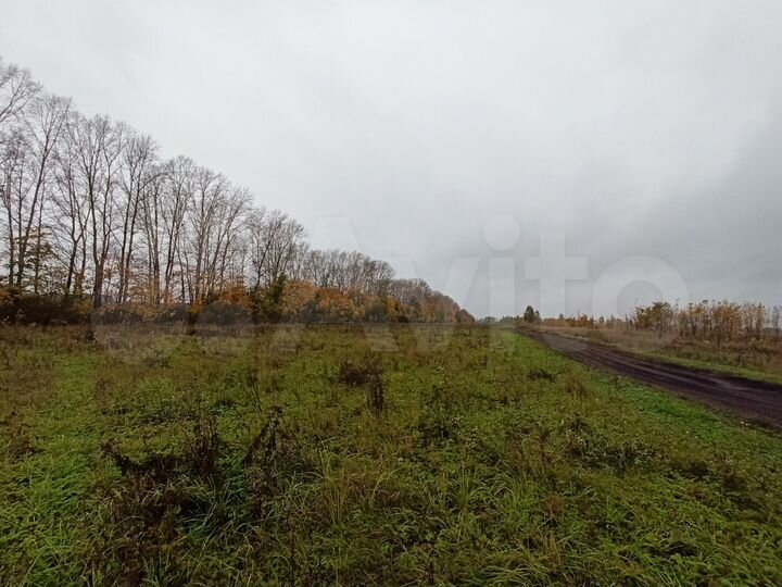 Участок 14,8 га (СНТ, ДНП)