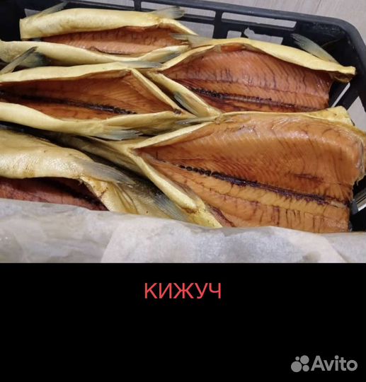 Рыба холодного и горячего копчения