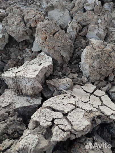 Сапропель удобрение земля перегной чернозём