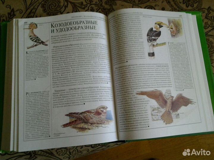 Новая школьная энциклопедия