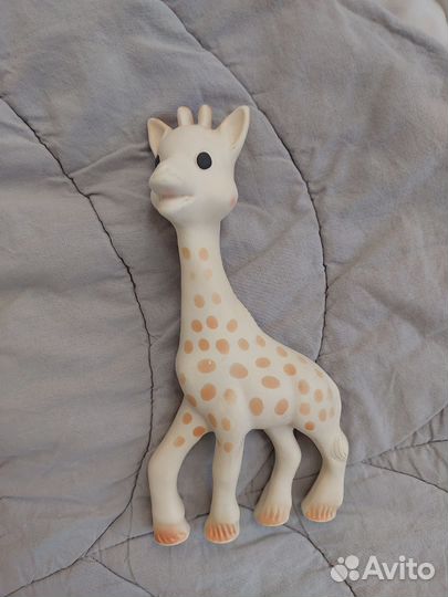 Жирафик софи