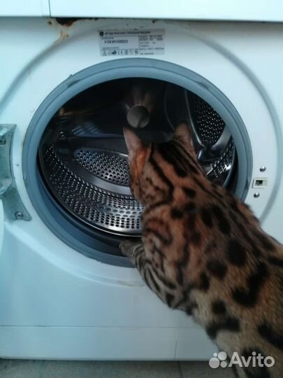 Стиральная машина бу lg 5 кг