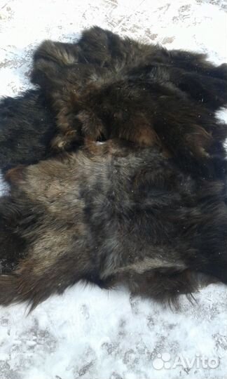 Козьи шкуры выделанные